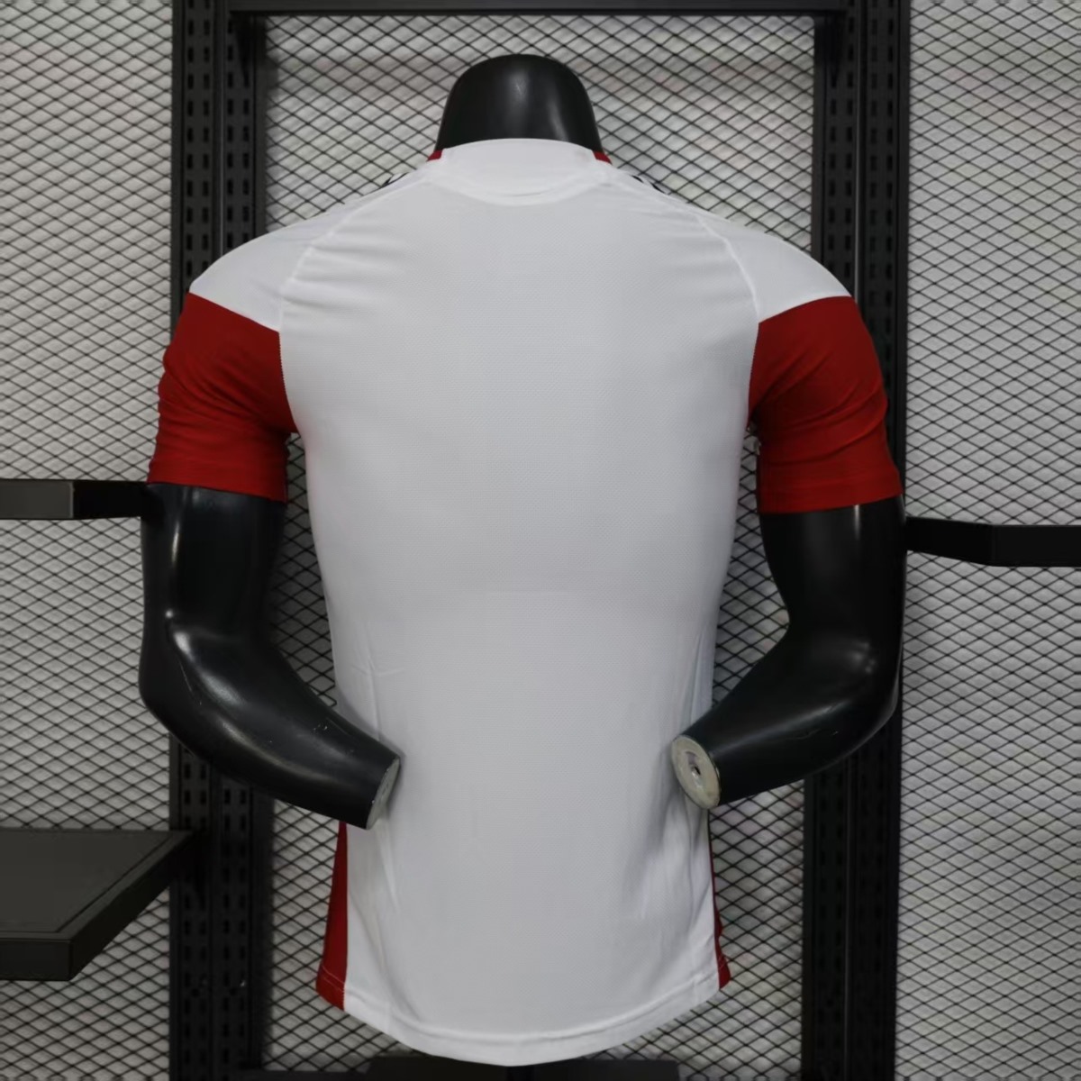 25/26 Germany Training White Jersey Player Version