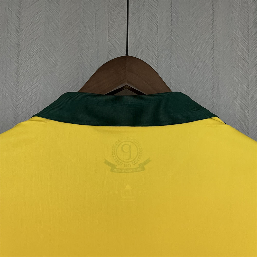 Retro 2014 Palmeiras Yellow jersey Fan Version