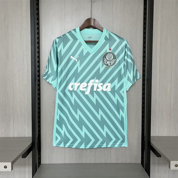 2024/25 Palmeiras Goalkeeper Green jersey Fan Version
