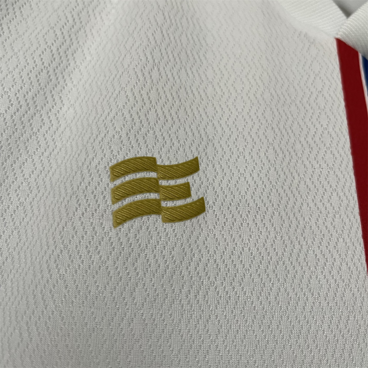 2024/25 Bahia Home jersey Fan Version