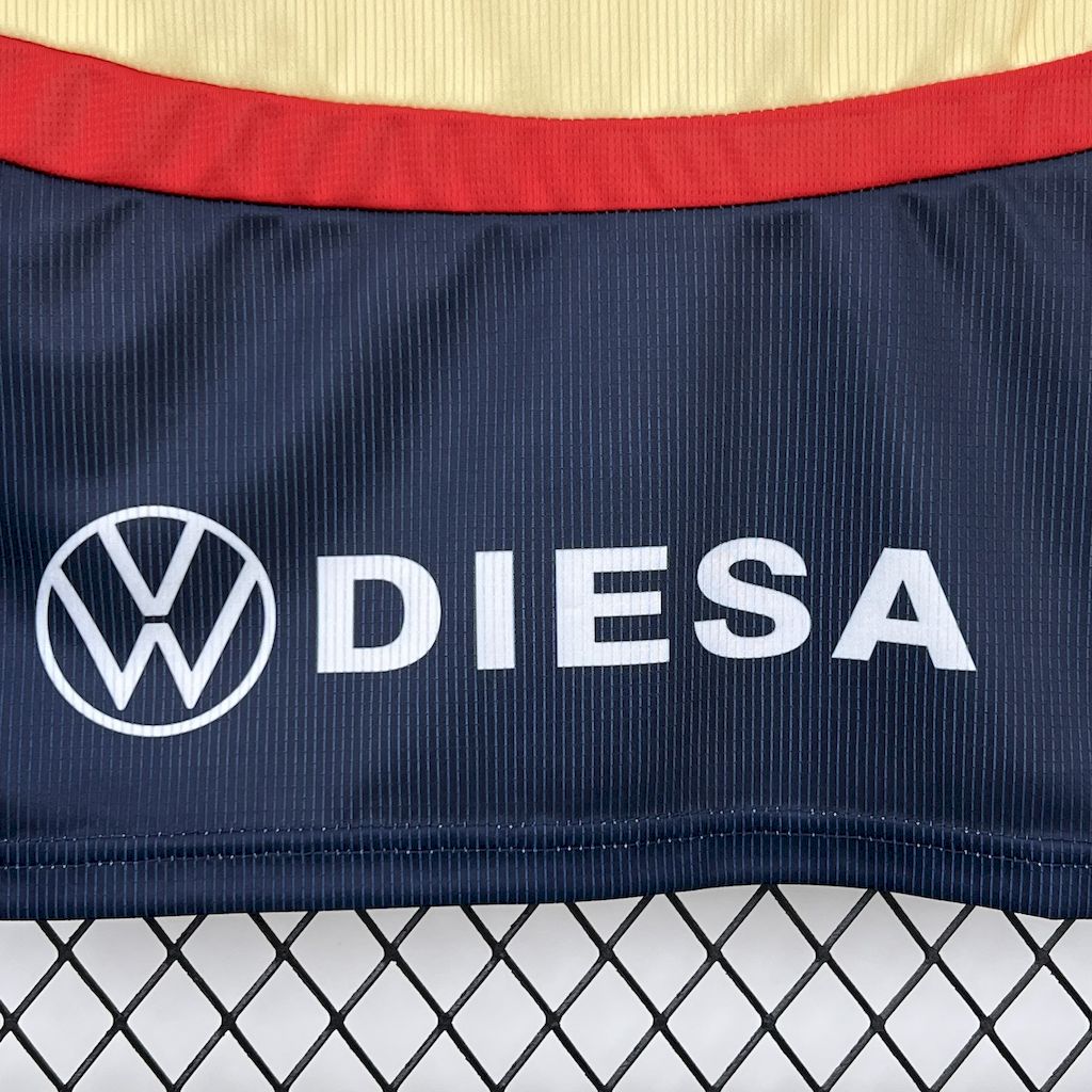 2025/26 Cerro Porteno Away Jersey Fan Version