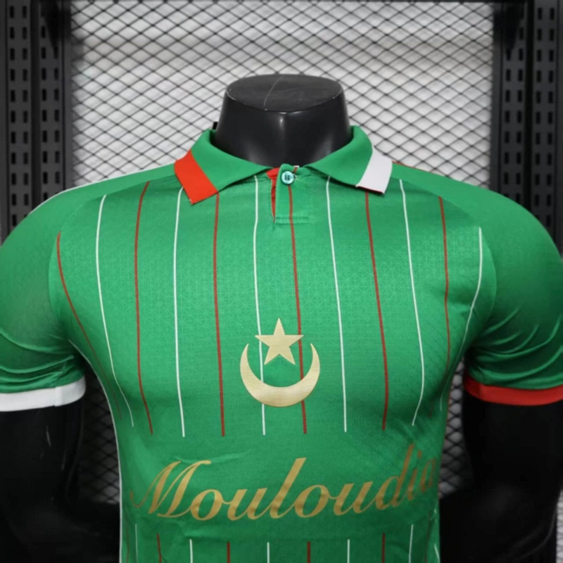 2025/26 Palestine Special Edition Green jersey Player Version
