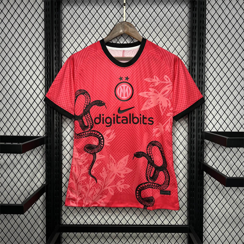 2024/25 Inter Milan Special Edition Jersey Fan Version