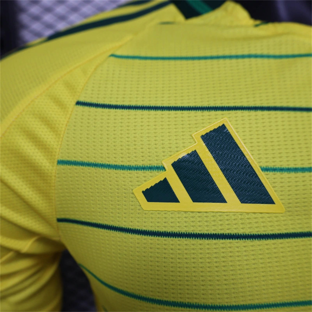 24/25 Celtic F.C. 2 away Jersey Player Version