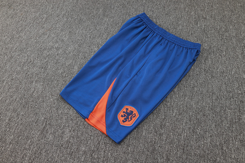 24/25 Netherlands Colorful Blue raining Set Shirt and Shorts
