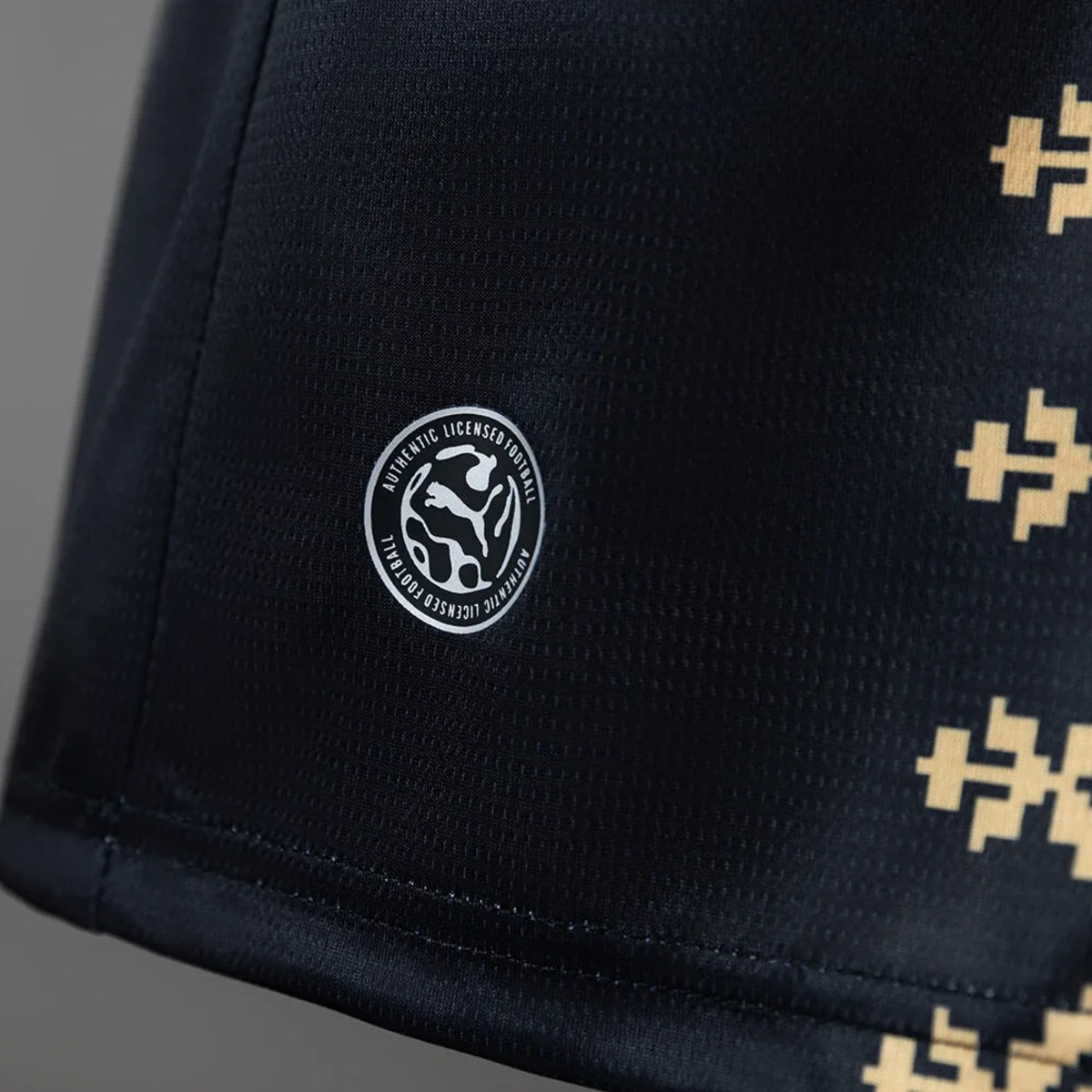 Morocco 2026 World Cup Special Edition Jersey Fan version