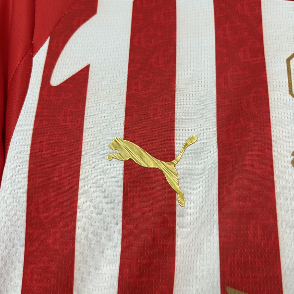 2026/27 Chivas Jersey Fan Version