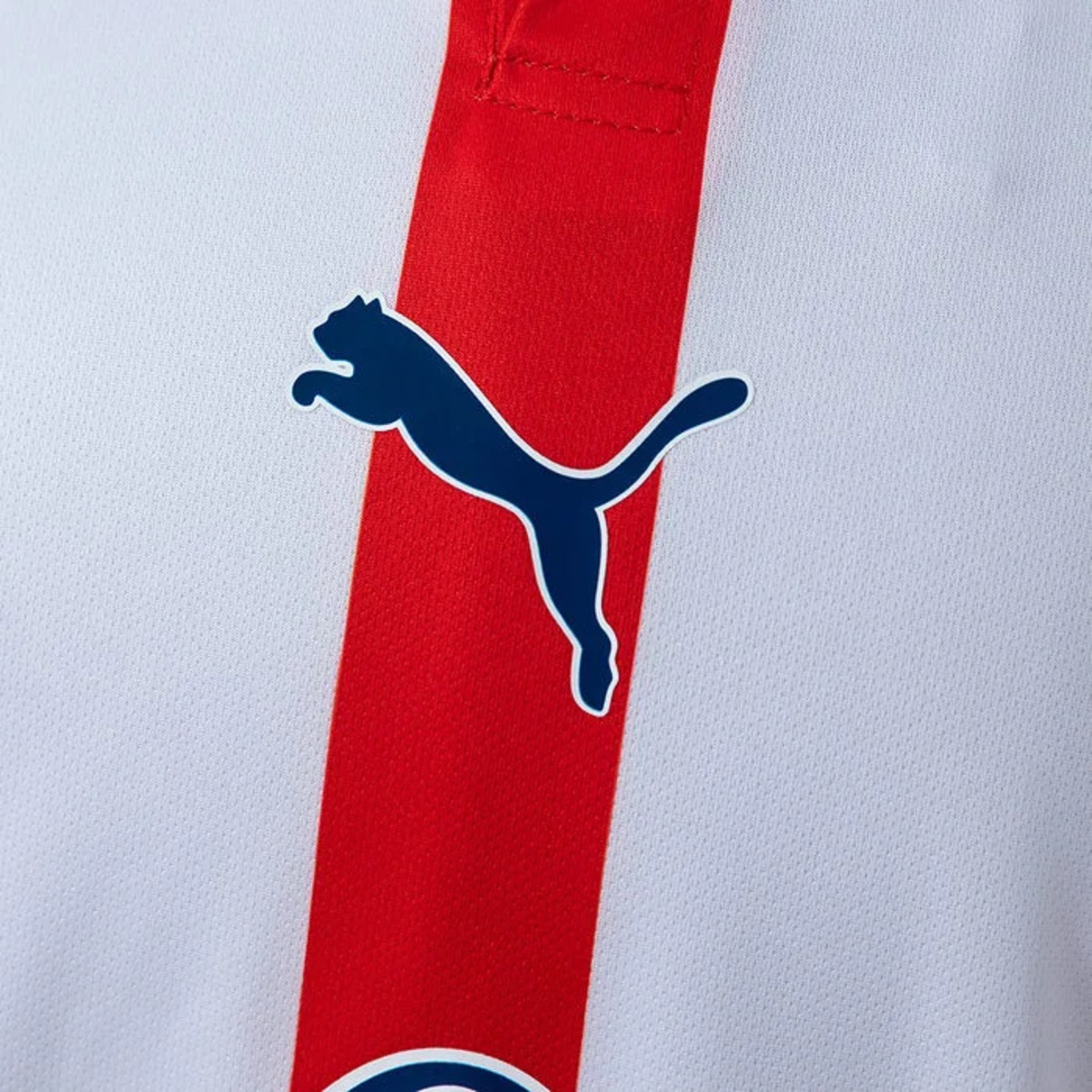 Chivas 120th Aniversario Jersey Fan Version