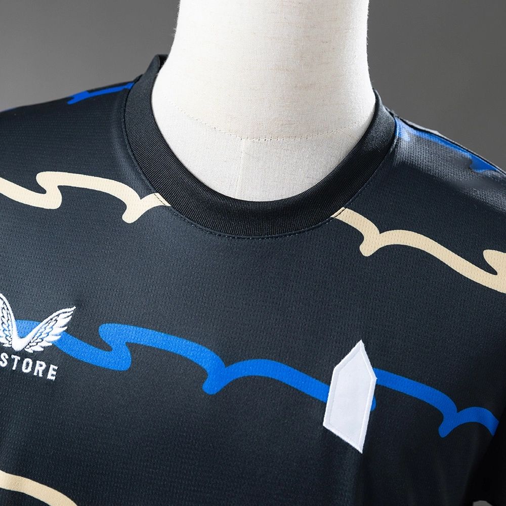 2025/26 Everton Second Away jersey Fan version