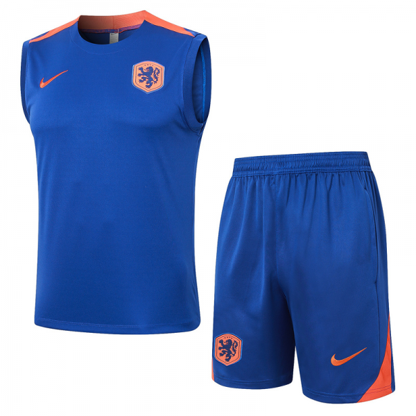 24/25 Netherlands Colorful Blue raining Set Shirt and Shorts