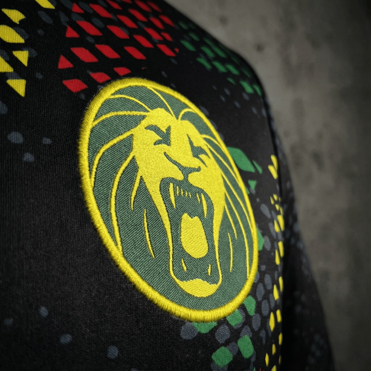 2026 Cameroon Special Edition Black Jersey Fan Version