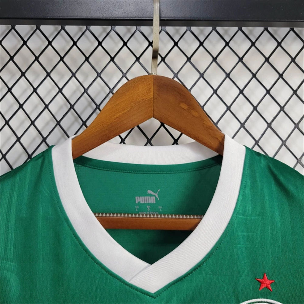 2024/25 Palmeiras Home vest jersey Fan Version