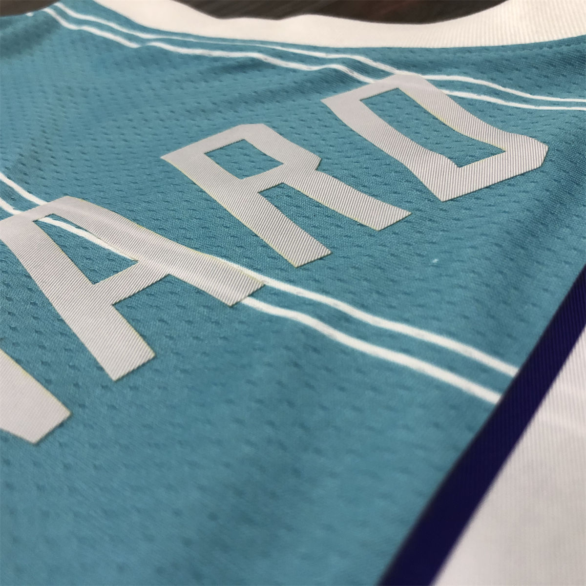 NBA Charlotte Hornets V-Neck Light Blue Jersey HAYWARD#20 S-XXL