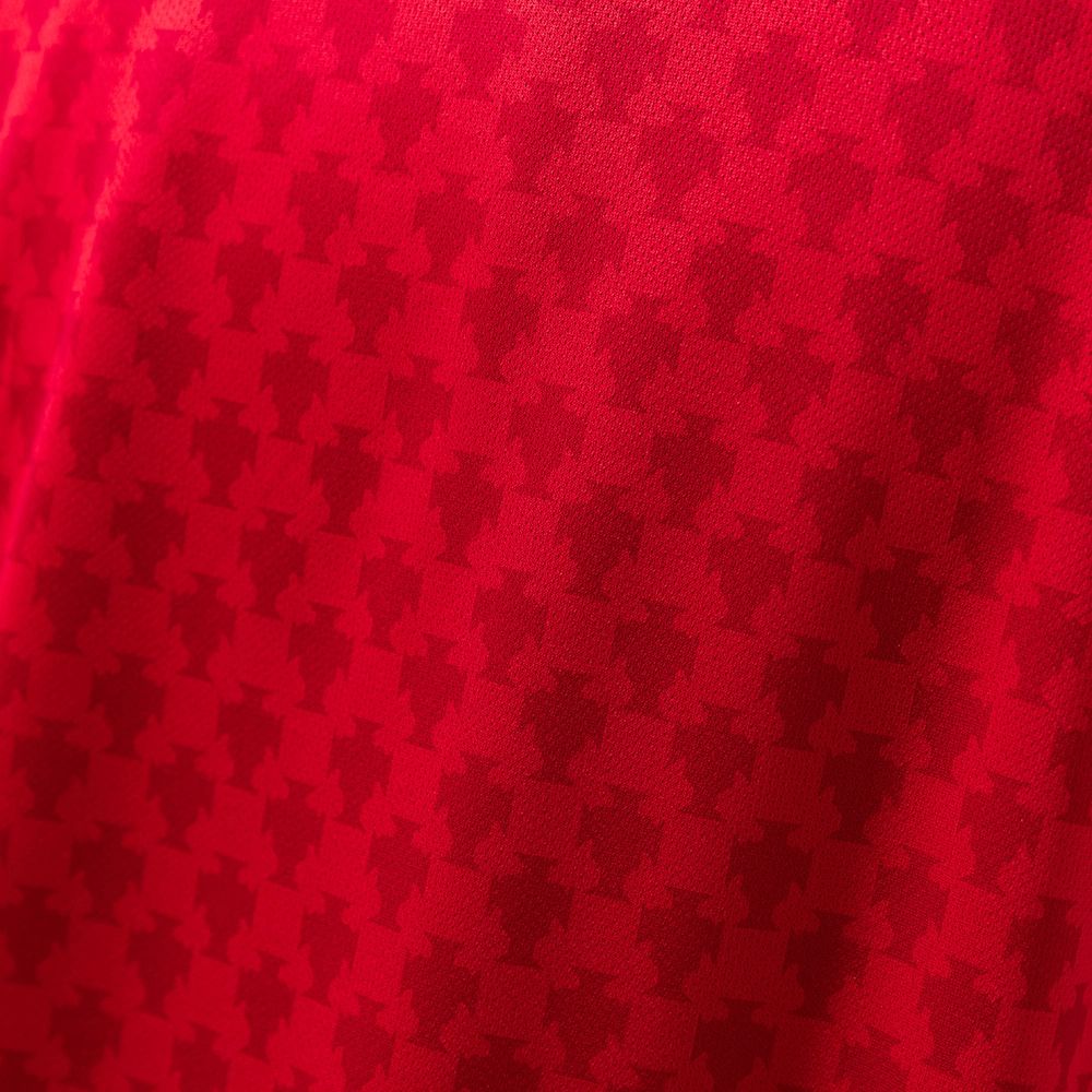 Retro Portugal 2004 Home jersey Fan Version