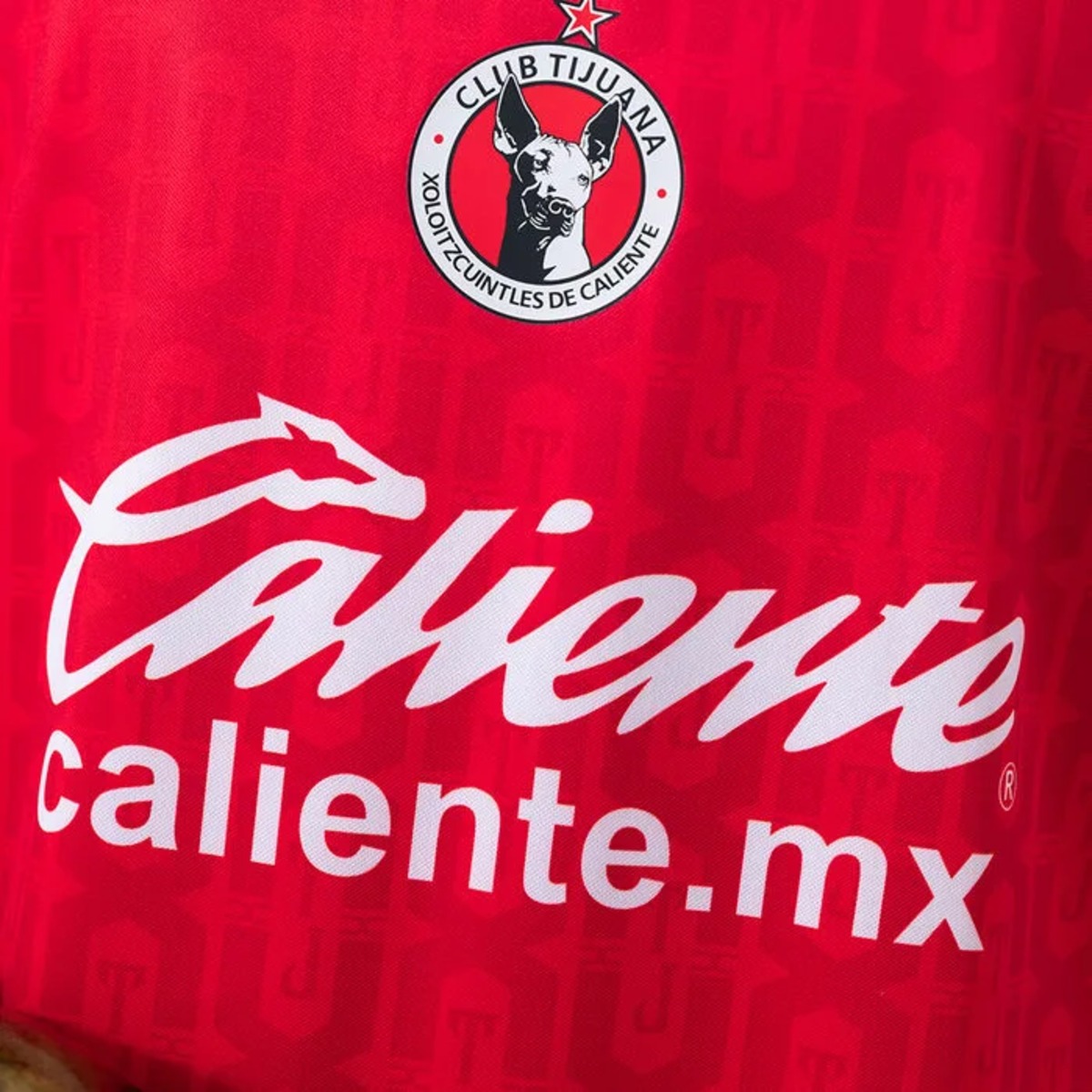 2026/27 Club Tijuana Home Jersey Fan Version