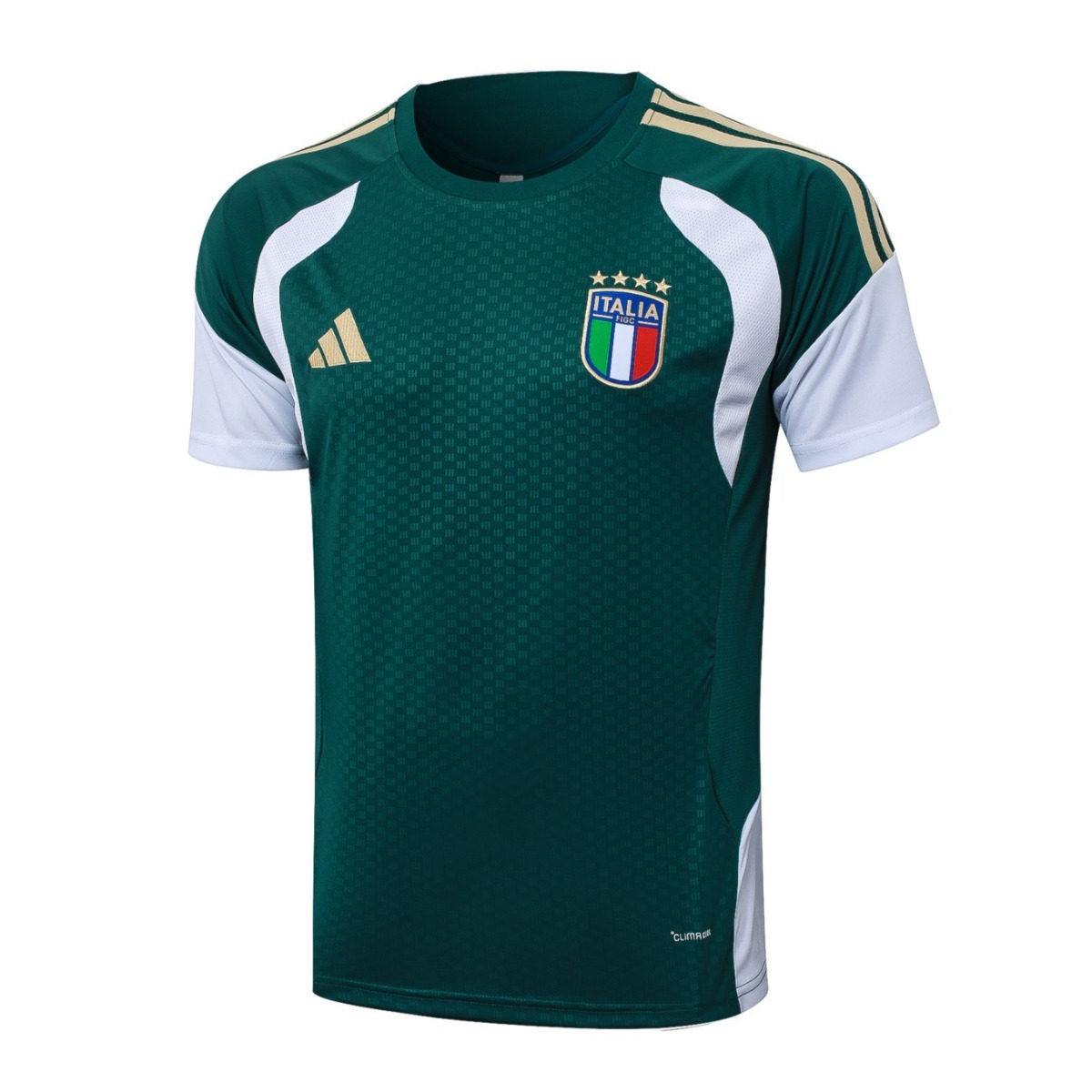 2026 Italy Dark green Training Set Shirt and Shorts