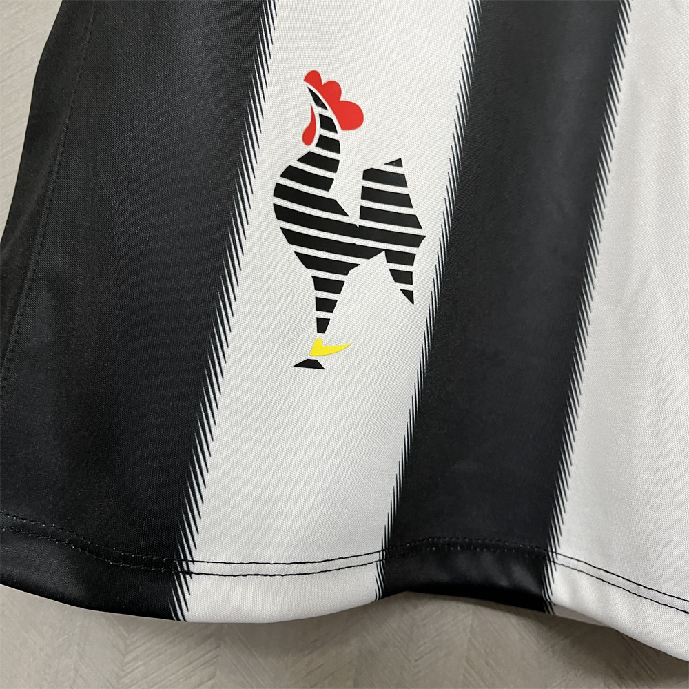 Retro 2013 Atletico Mineiro Home jersey Fan Version
