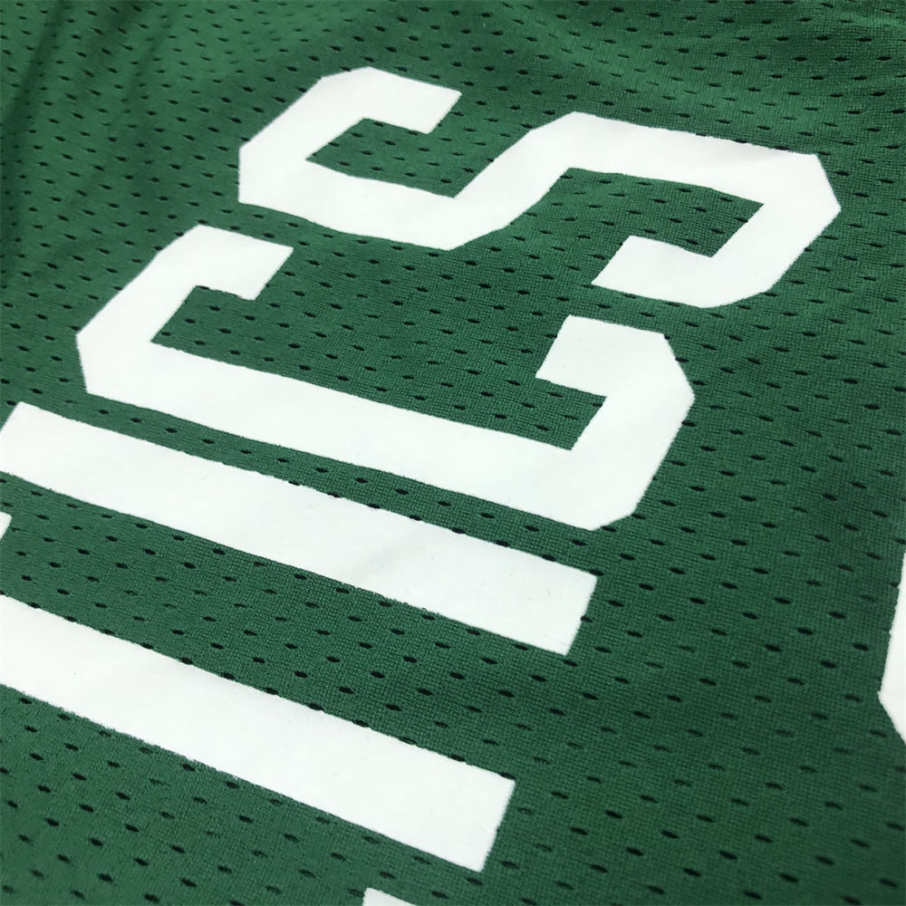 NBA Boston Celtics Mitchellness Green Jersey BIRD#33 S-XXL