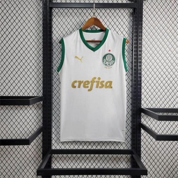 2024/25 Palmeiras Away vest jersey Fan Version