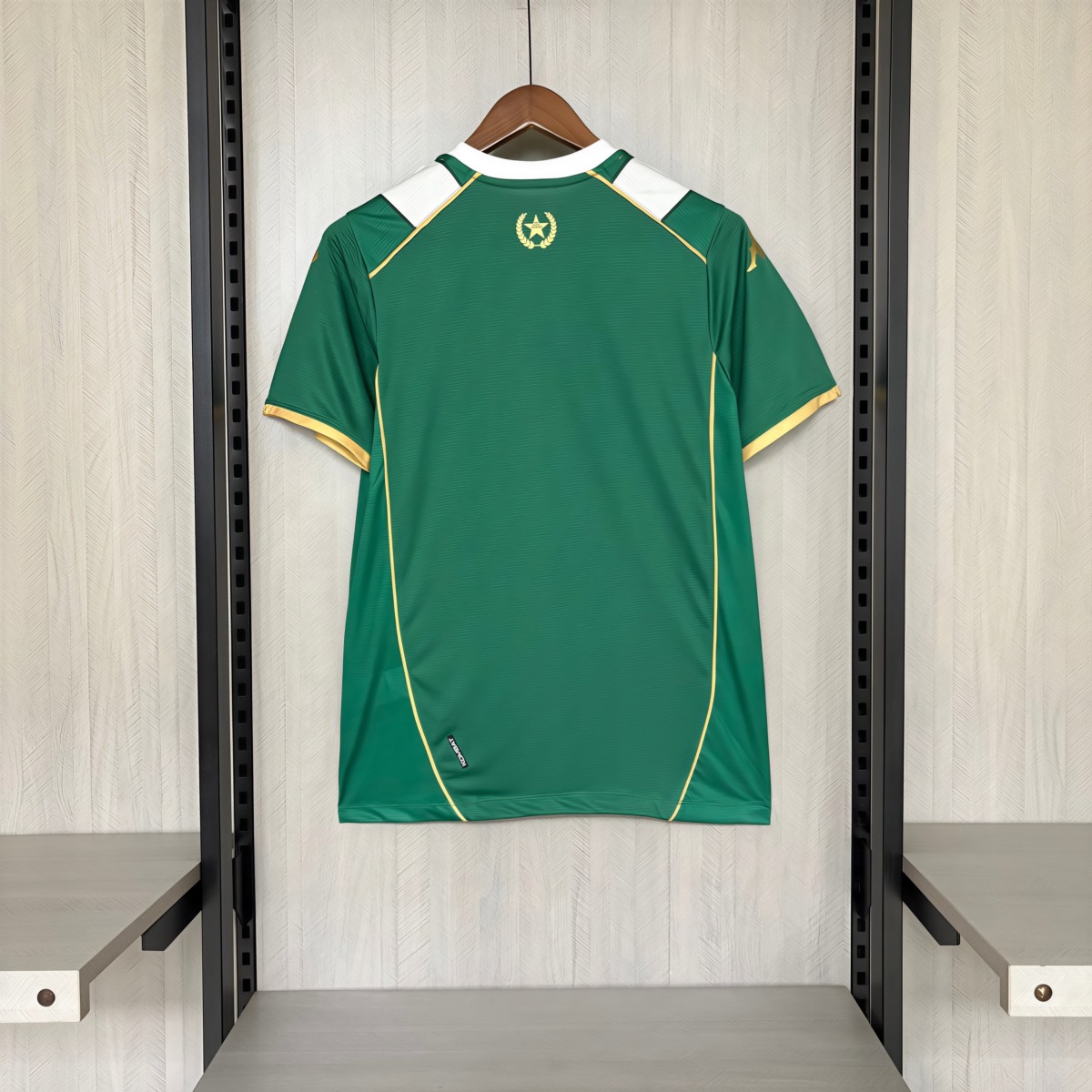 2026/27 Chapecoense Home Jersey Fan version