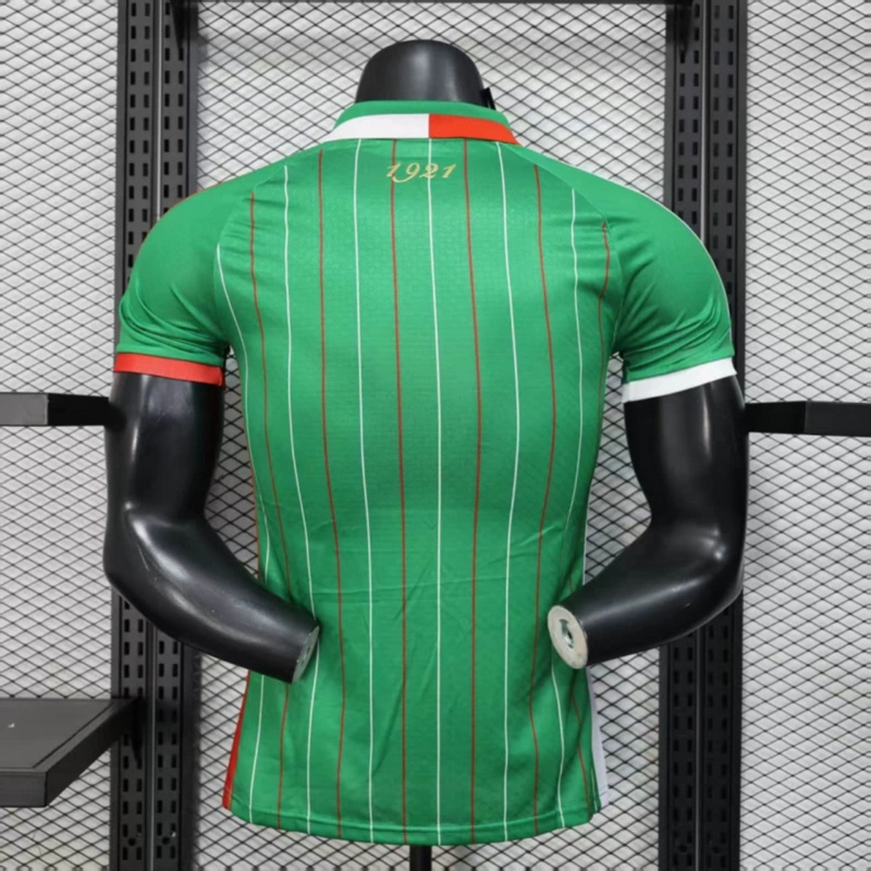 2025/26 Palestine Special Edition Green jersey Player Version