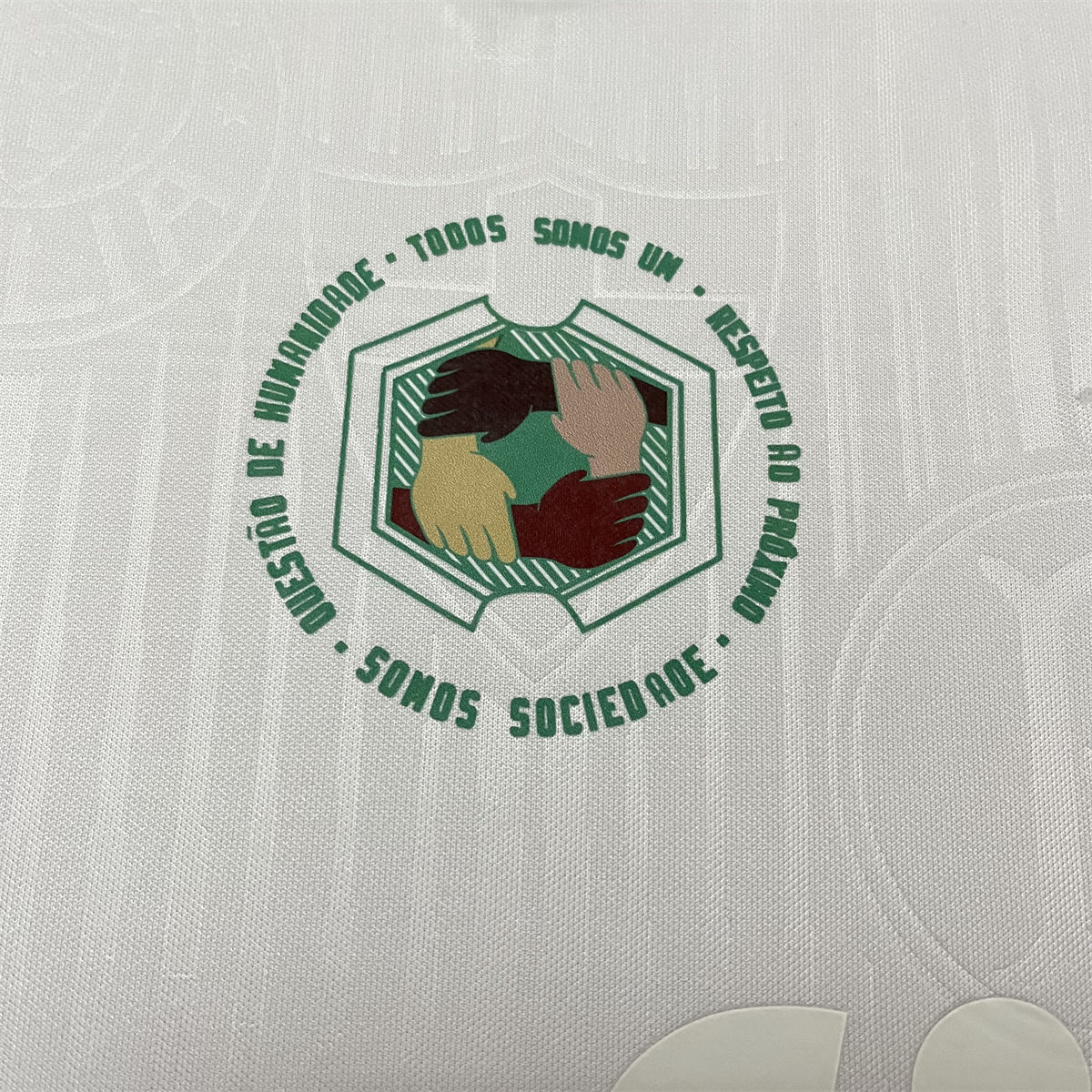 2024/25 Palmeiras Special Edition White jersey Fan Version