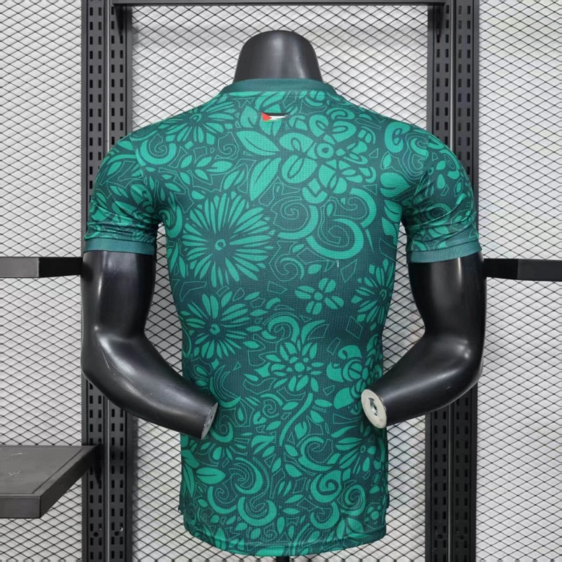 2025/26 Palestino Special Edition Green jersey Player Version