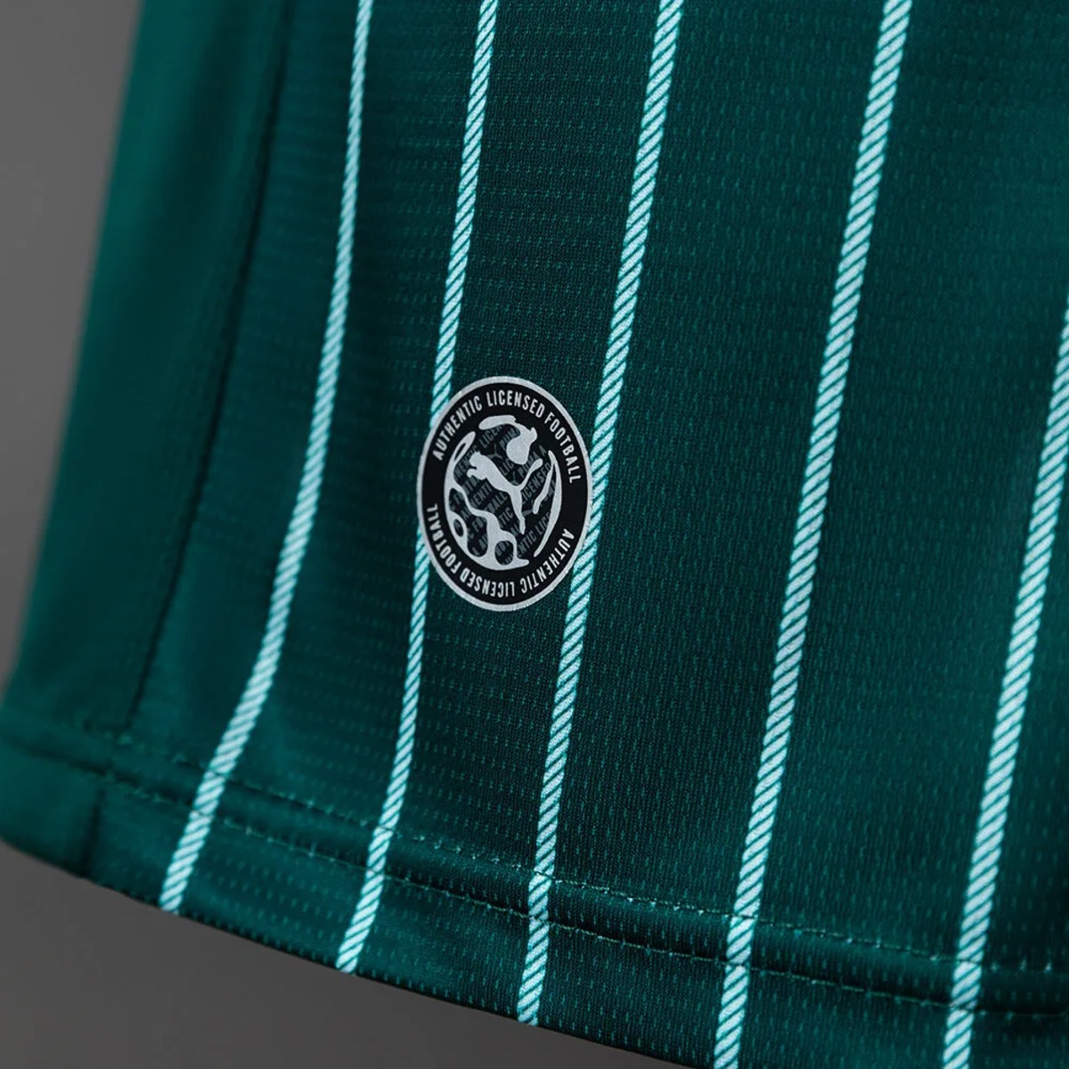 2026/27 Plymouth Argyle Home Jersey Fan Version