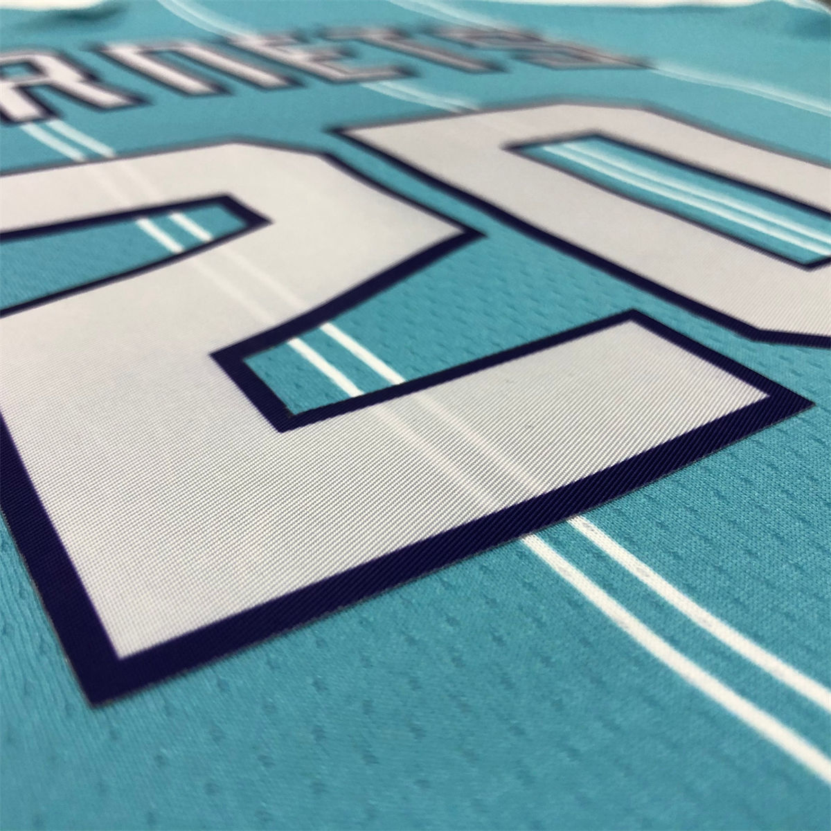 NBA Charlotte Hornets V-Neck Light Blue Jersey HAYWARD#20 S-XXL