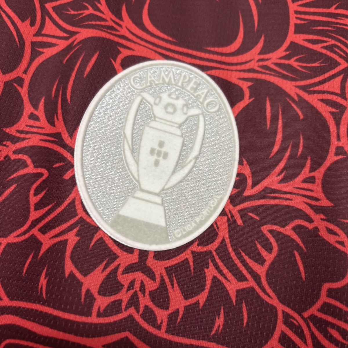 25/26 Porto Special Edition Red Jersey Fan Version