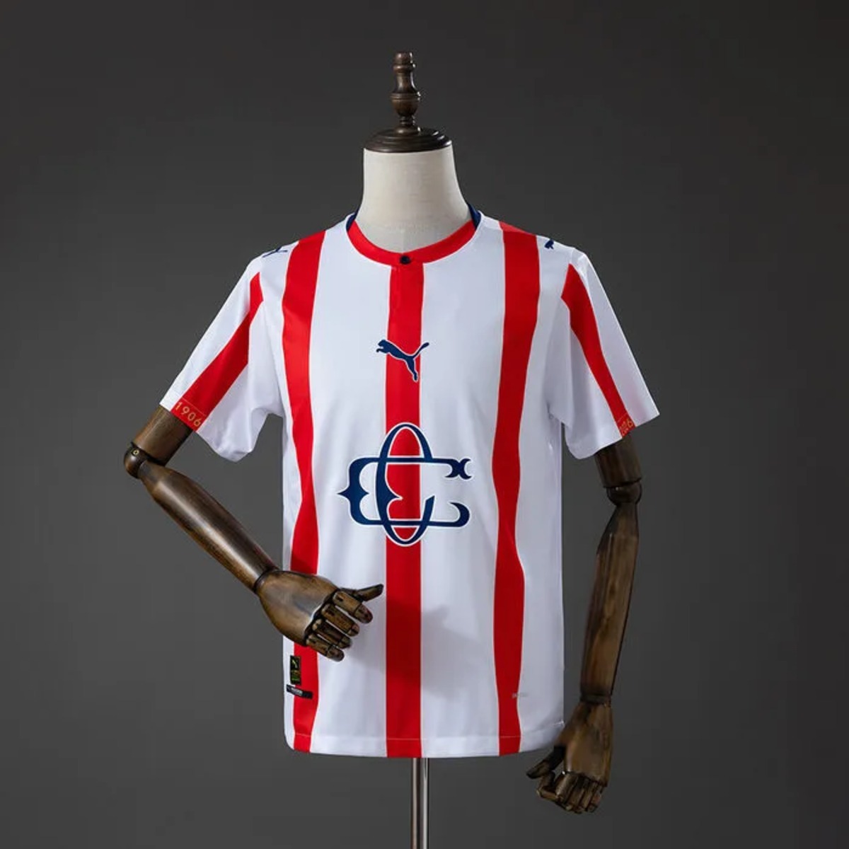 Chivas 120th Aniversario Jersey Fan Version