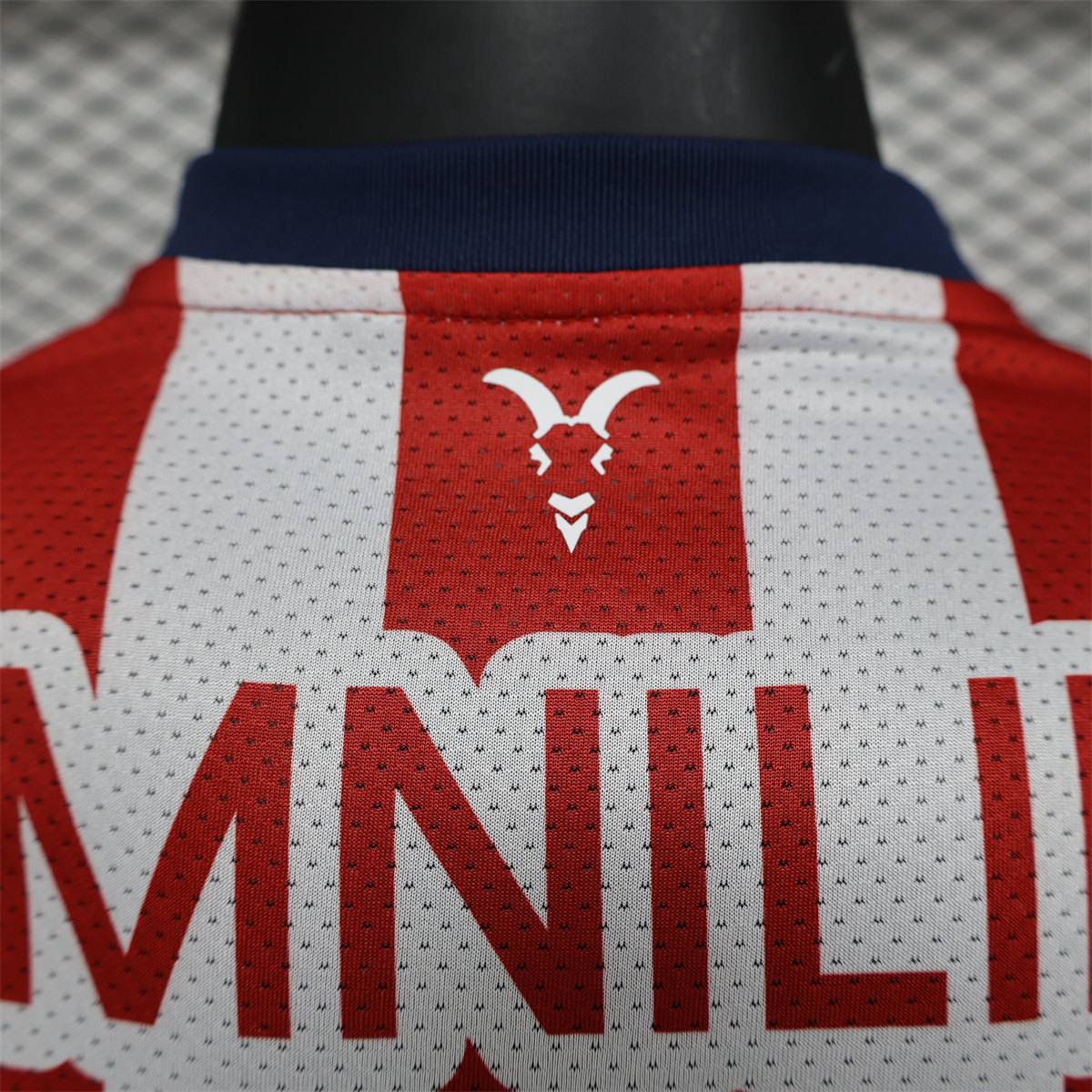 24/25 Chivas Home Jersey Player Version