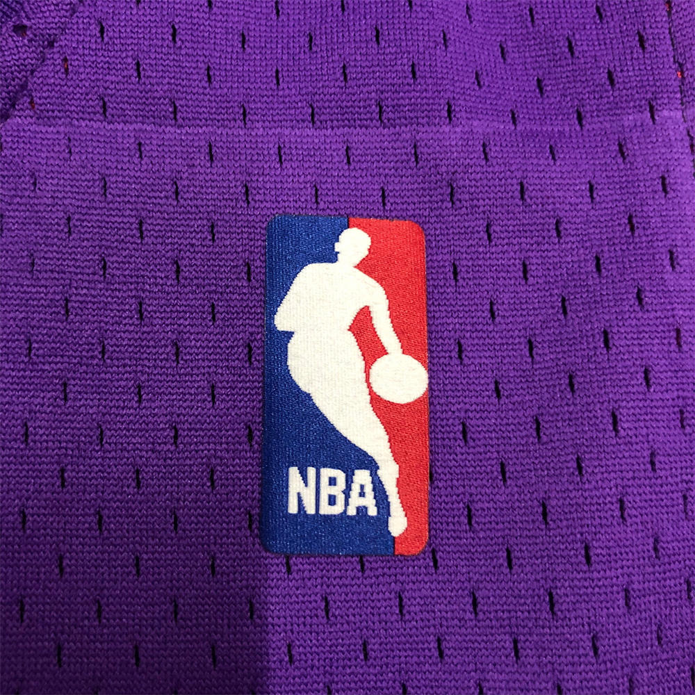 NBA Toronto Raptors V-Neck Purple jersey CARTER#15 S-XXL