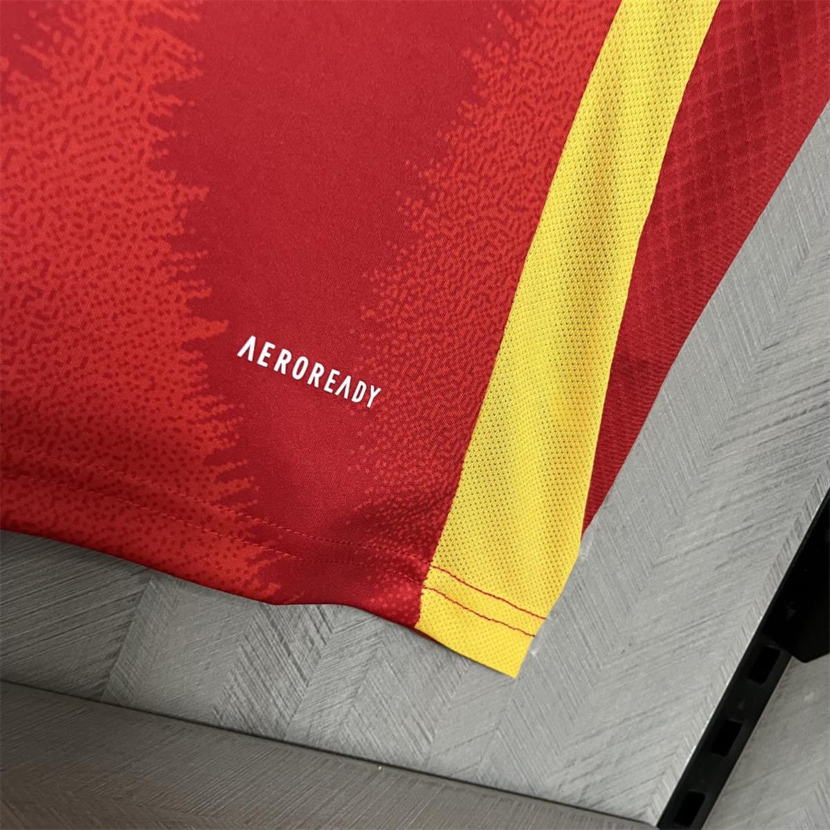 24/25 Spain UEFA Euro 2024 Champions Home Jersey Fan Version