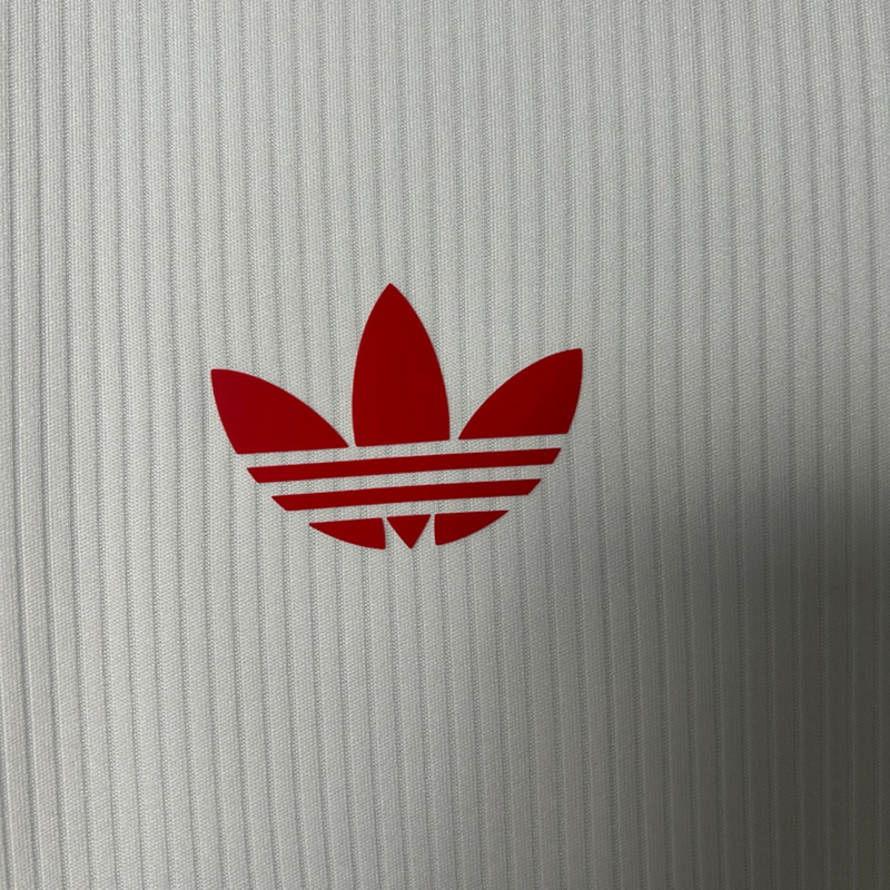 2025/26 Benfica Special Edition Jersey Fan Version