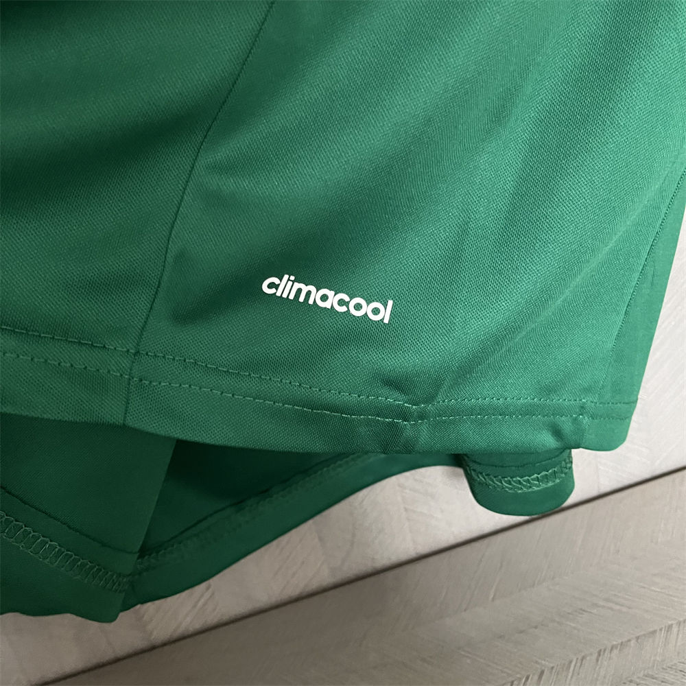 Retro 2014/15 Palmeiras Home jersey Fan Version