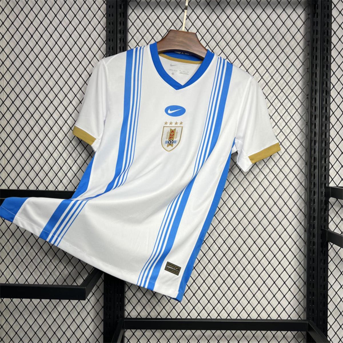 2024/25 Uruguay Pre-match training Jersey Fan Version