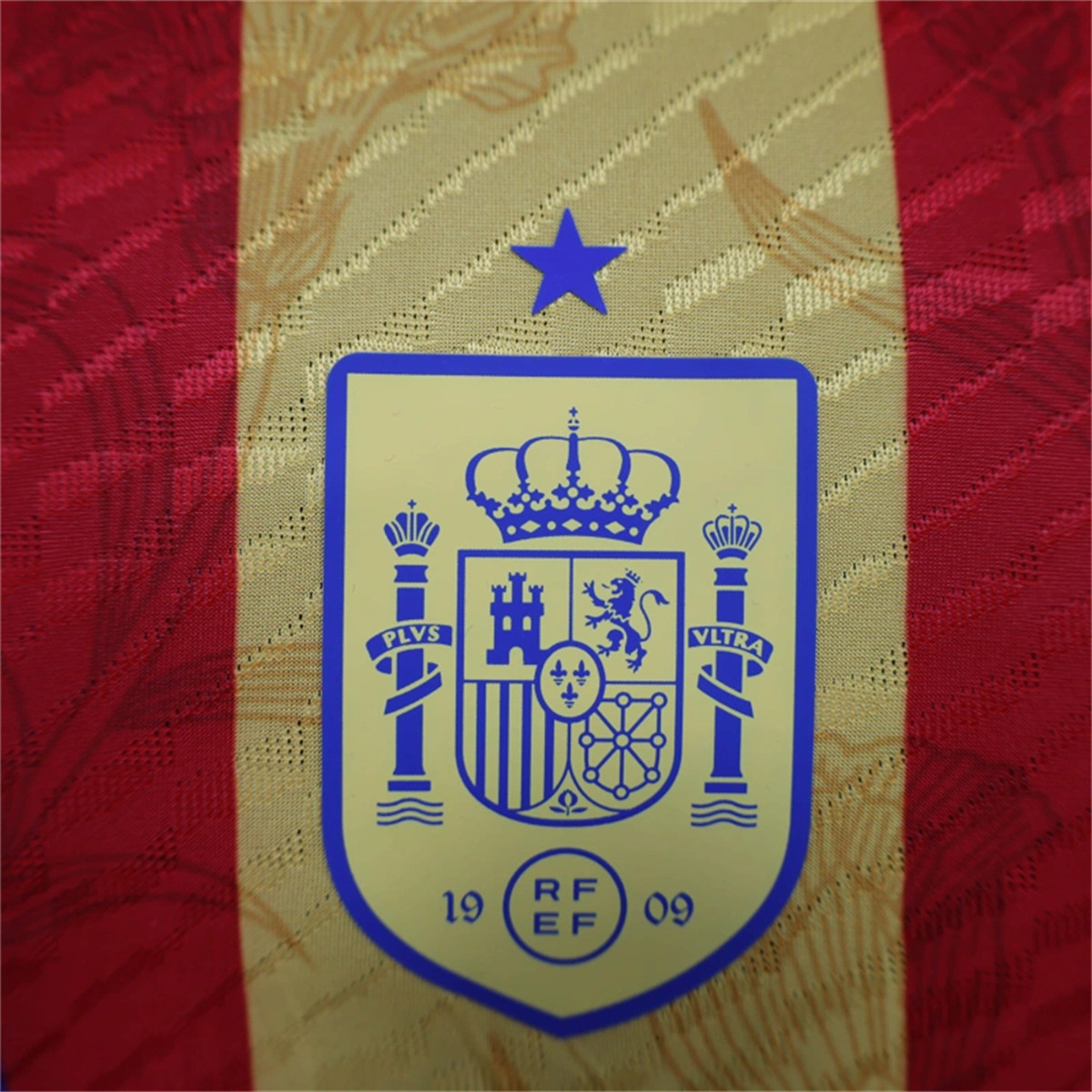 24/25 Spain Pre-match training Special edition Jersey Player Version