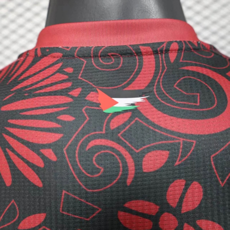 2025/26 Palestino Special Edition Red jersey Player Version