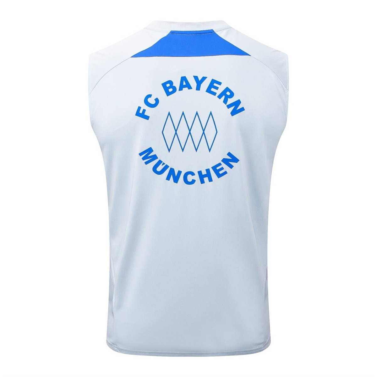2026 Bayern Munich Grey Training Set Shirt and Shorts