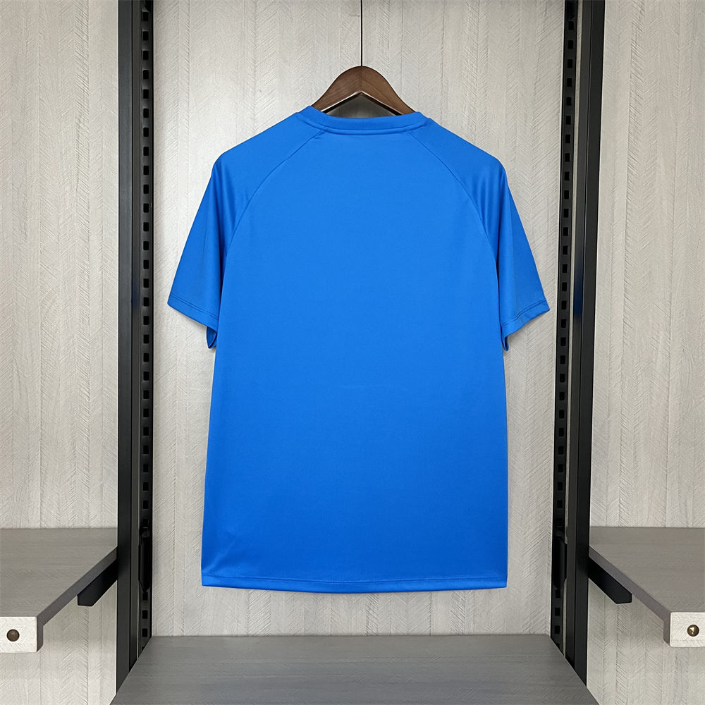 2024/25 Palmeiras Blue Pre-Match Training jersey Fan Version