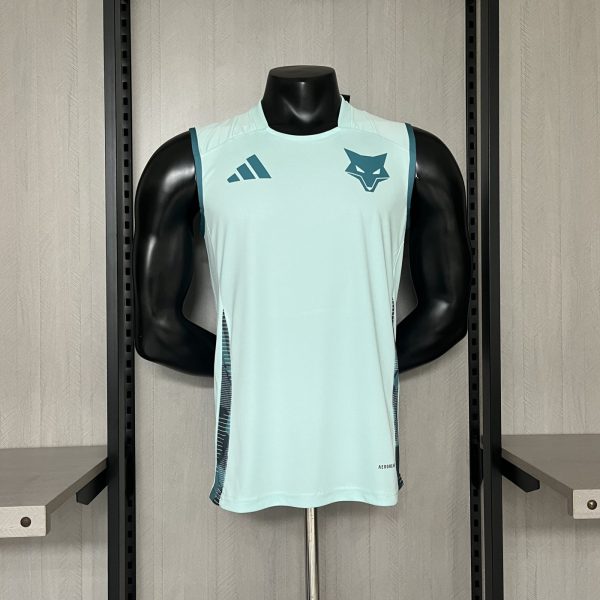 2025/26 Cruzeiro Training Vest Jersey Fan Version