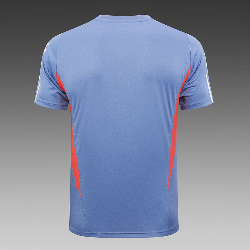 24/25 Cruzeiro Grey Training Set Shirt and Shorts