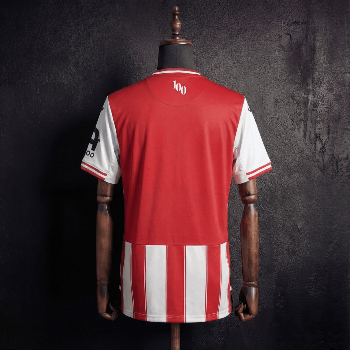 2025/26 Brentford Home Jersey Fan Version