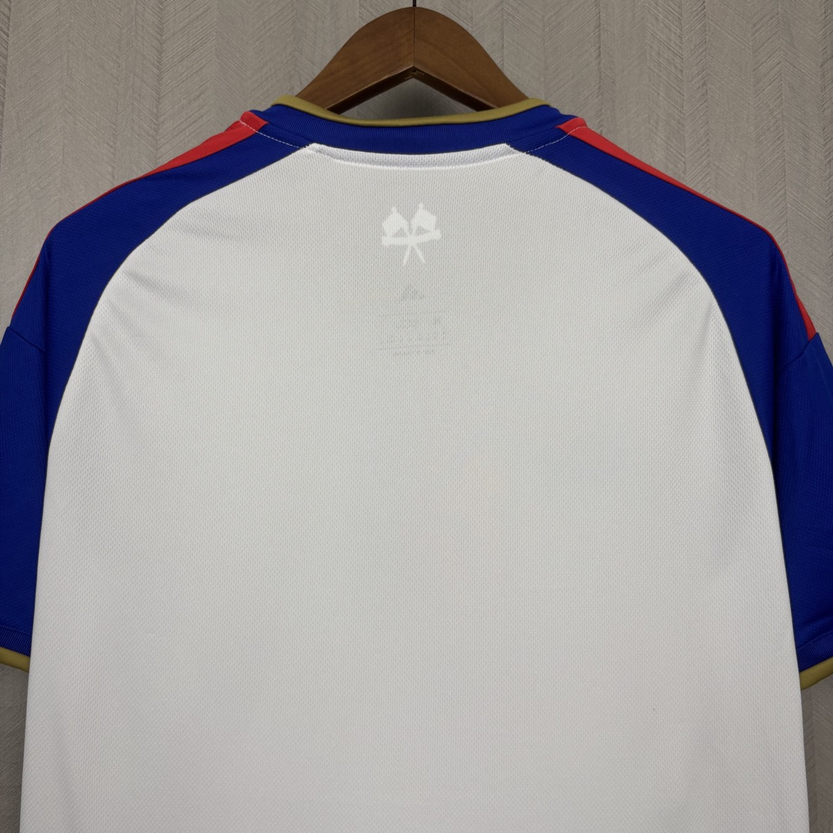 2026/27 Olympique Lyonnais Home Jersey Fan version