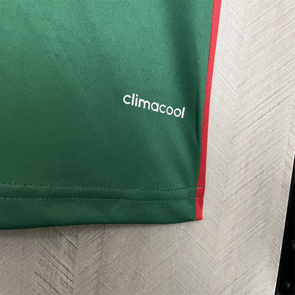 Retro 2014 Palmeiras Centennial Edition Green jersey Fan Version