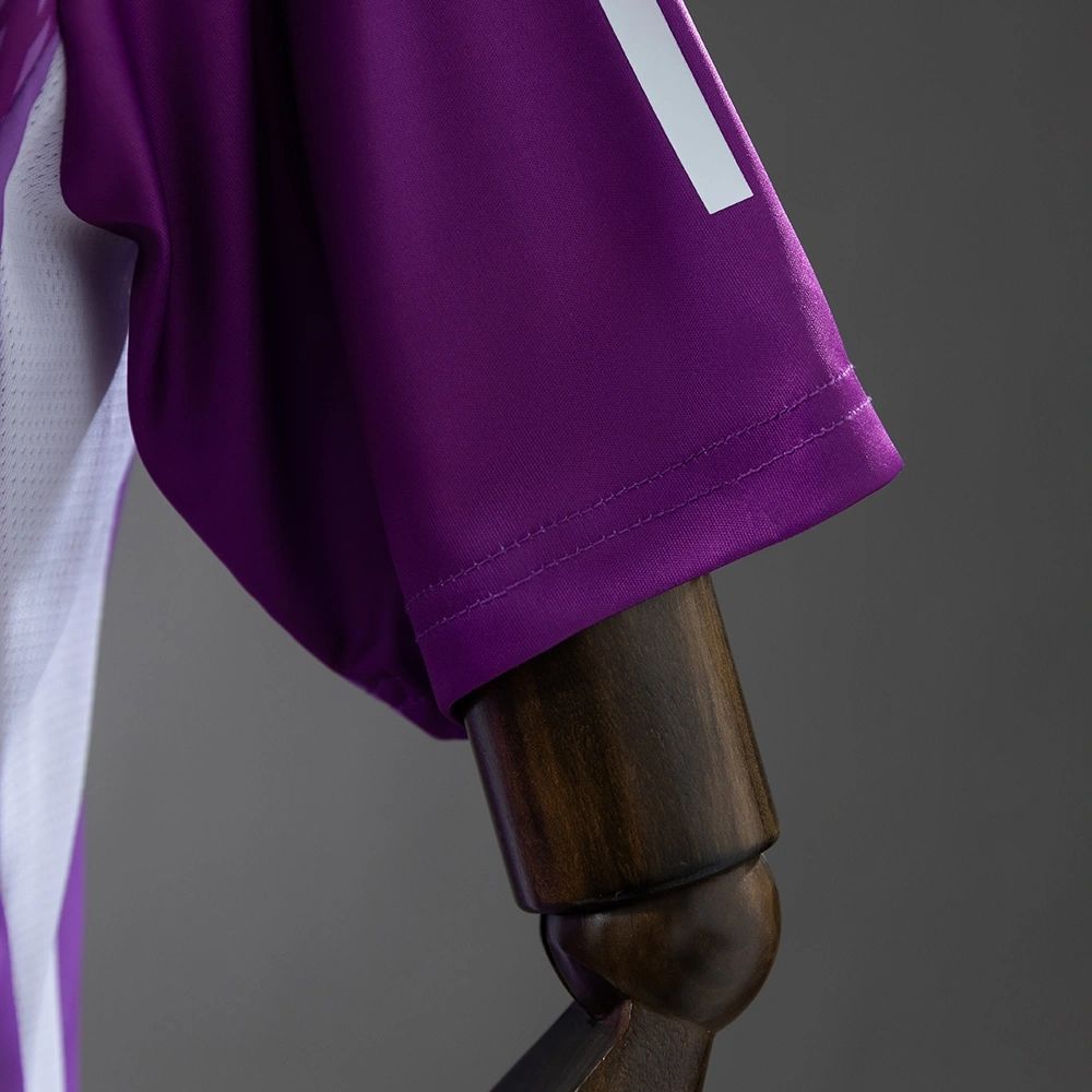 2025/26 Colo Colo Goalkeeper Purple Jersey Fan Version