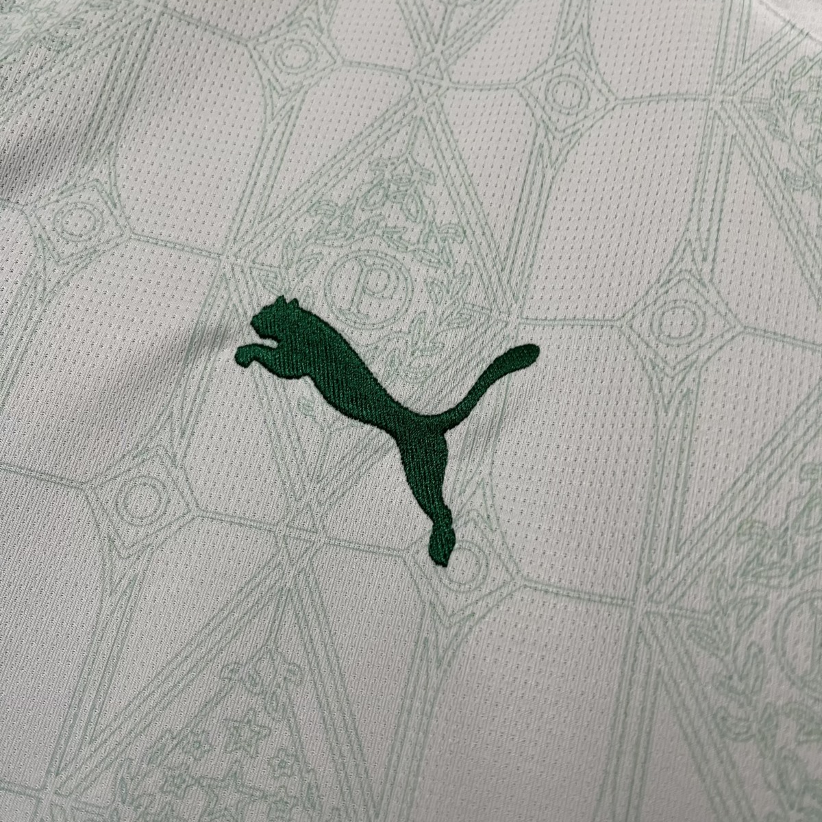 2025/26 Palmeiras Away jersey Fan Version