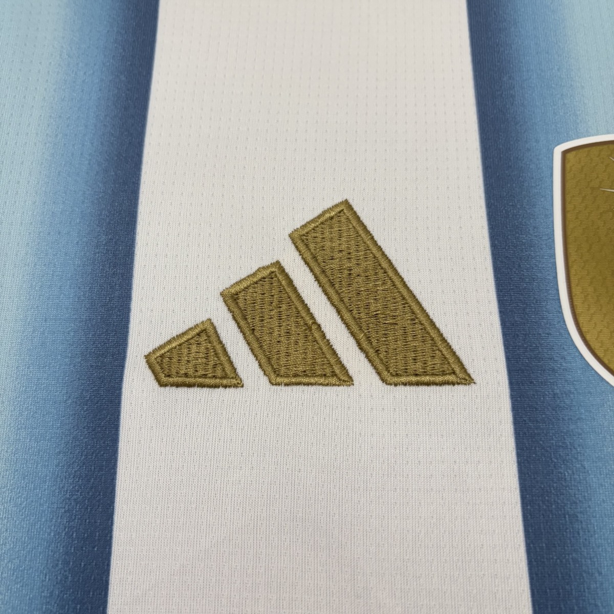Argentina 2026 World Cup Home Jersey – Fan Version