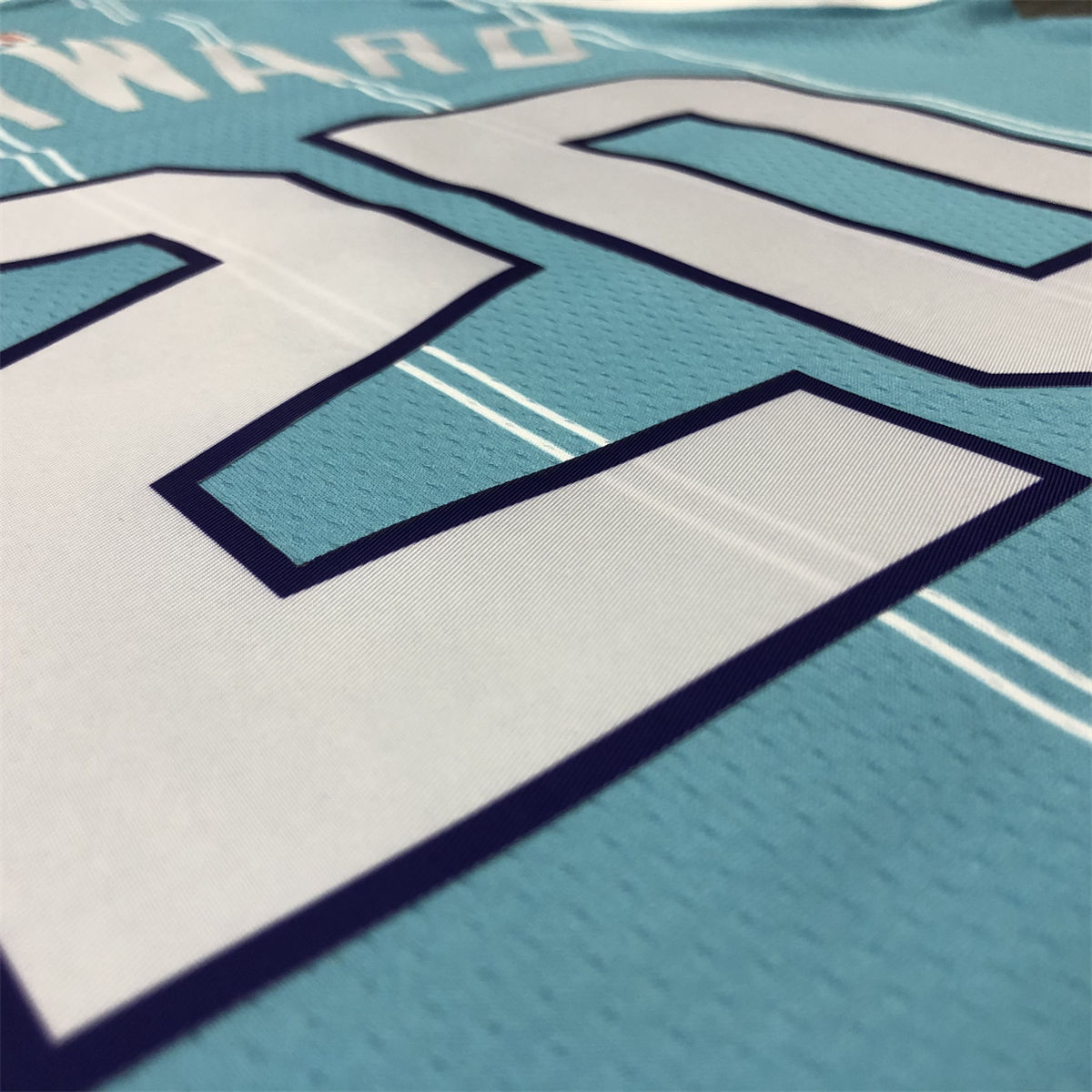 NBA Charlotte Hornets V-Neck Light Blue Jersey HAYWARD#20 S-XXL